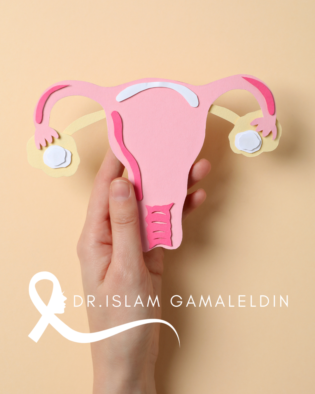 Islam Gamal El Din (4)